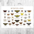 Idaho Butterflies Field Guide Art Print - Butterfly - Nature Print - Poster | Canvas Wall Art Print