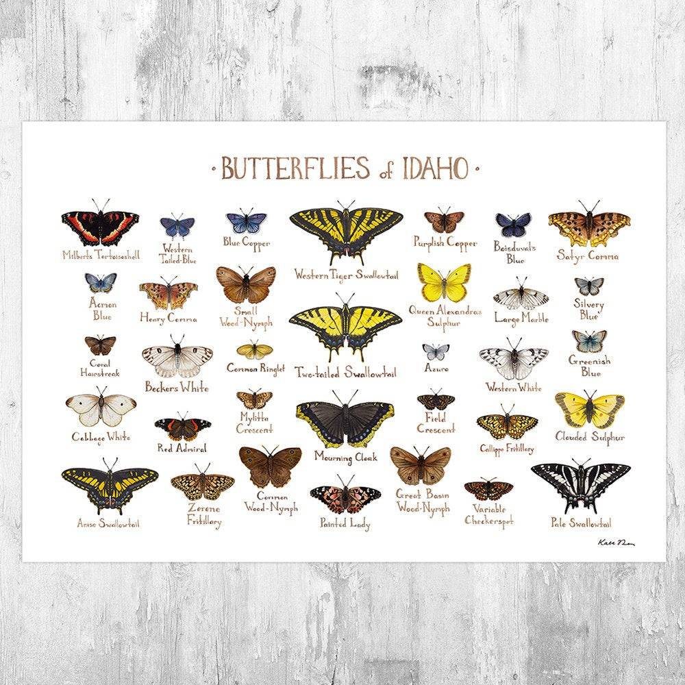 Idaho Butterflies Field Guide Art Print - Butterfly - Nature Print - Poster | Canvas Wall Art Print