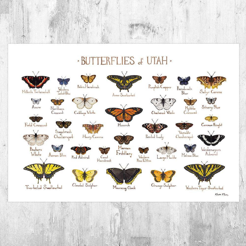 Utah Butterflies Field Guide Art Print - Butterfly - Nature Print - Poster | Canvas Wall Art Print