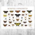 Massachusetts Butterflies Field Guide Art Print - Butterfly - Nature Print - Poster | Canvas Wall Art Print