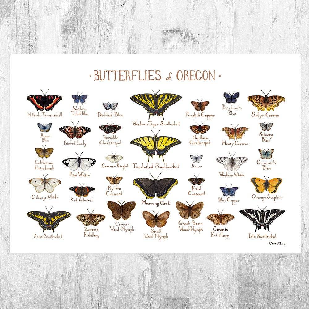 Oregon Butterflies Field Guide Art Print - Butterfly - Nature Print - Poster | Canvas Wall Art Print