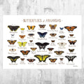 Arkansas Butterflies Field Guide Art Print - Butterfly - Nature Print - Poster | Canvas Wall Art Print