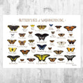 Washington, D.C. Butterflies Field Guide Art Print - District Of Columbia Butterfly - Nature Print - Poster | Canvas Wall Art Print