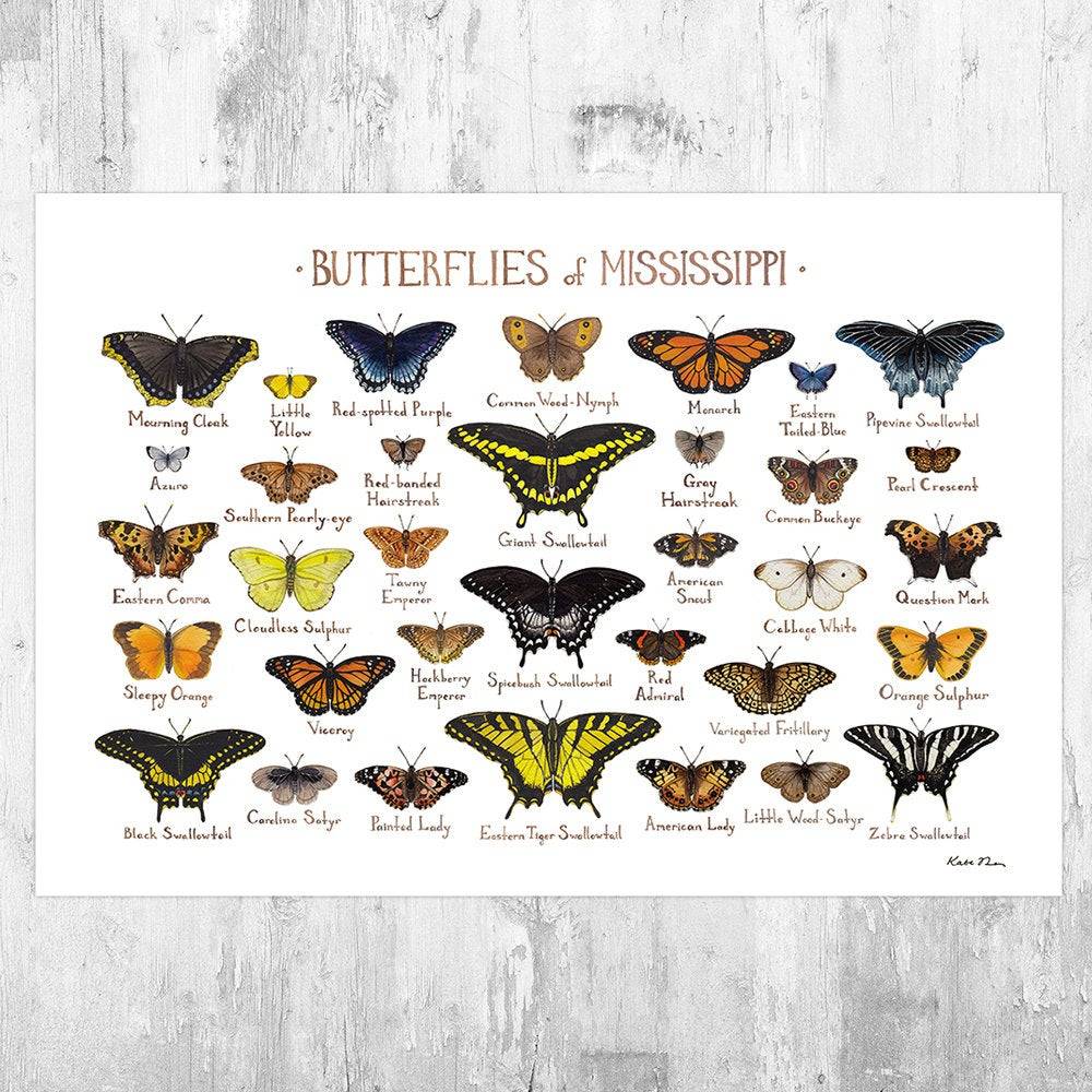 Mississippi Butterflies Field Guide Art Print - Butterfly - Nature Print - Poster | Canvas Wall Art Print