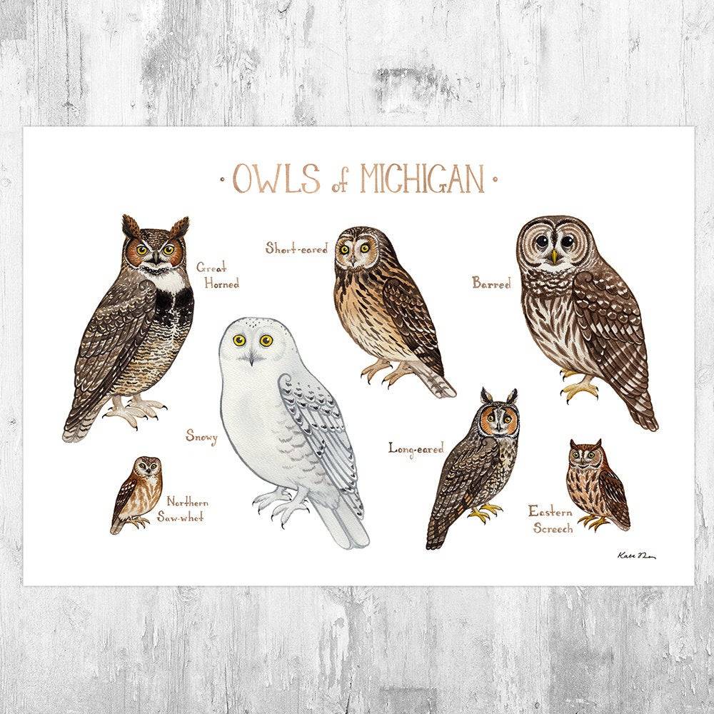 Michigan Owls Field Guide Art Print - Nature Print - Birds Of Prey - Poster | Canvas Wall Art Print