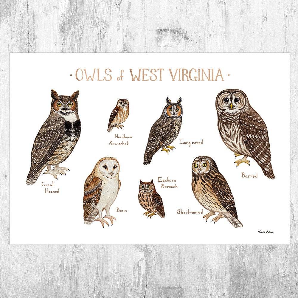 West Virginia Owls Field Guide Art Print - Nature Print - Birds Of Prey - Poster | Canvas Wall Art Print