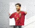 Xabi Alonso Spanish National Team Sports Art Print, Soccer/Football, Sports Decor – Poster | Canvas Wall Art Print
