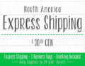 Express Shipping - 3 Business Days - North America – Poster | Canvas Wall Art Print