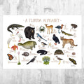 Florida Nature Alphabet Chart Art Print - A Florida Abc Nature - Florida Wildlife Nursery Wall Art - Poster | Canvas Wall Art Print