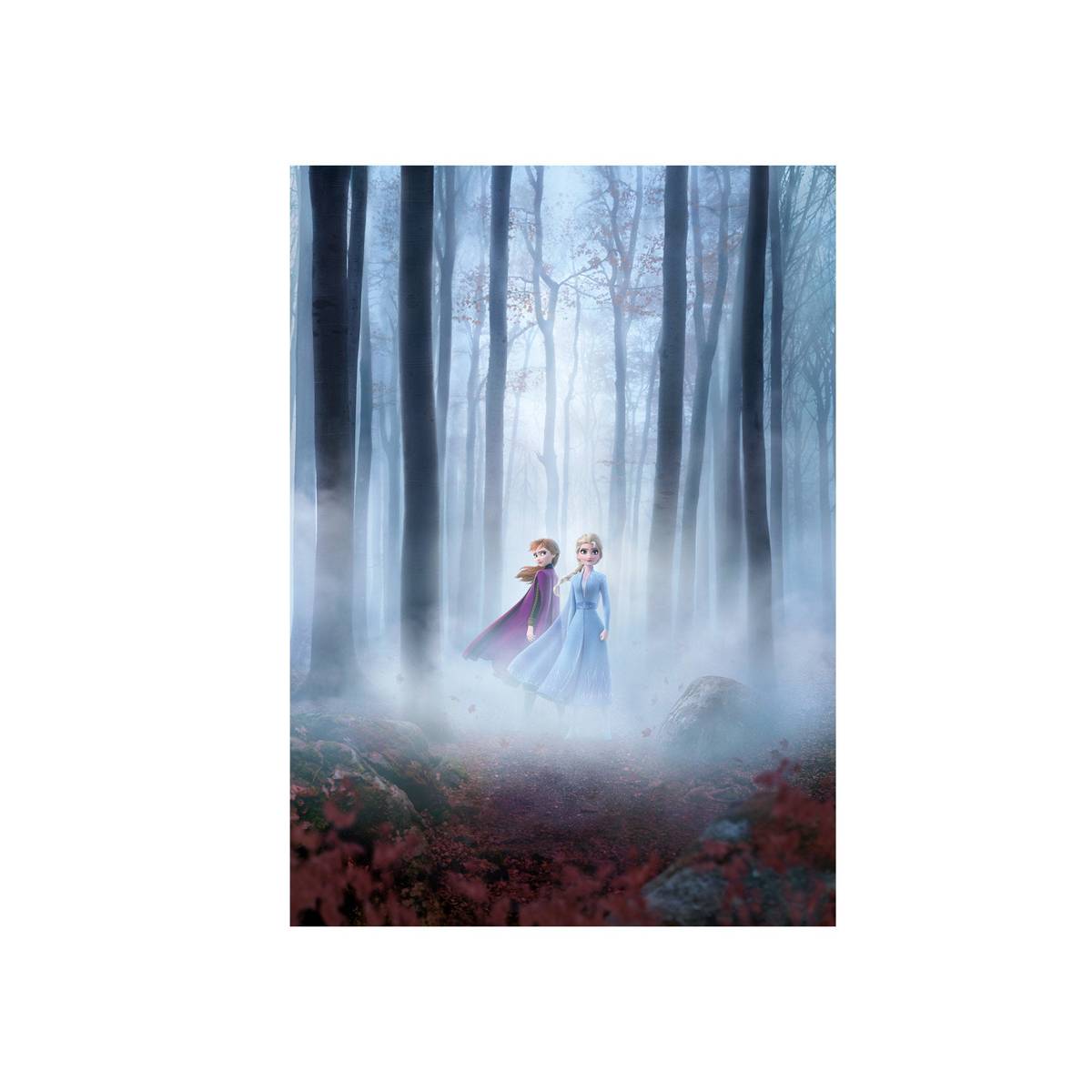 Frozen Ii 2019 Movie Ver. 2 (Textless) - Poster | Canvas Wall Art Print