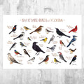 Florida Backyard Birds Field Guide Art Print - Nature Print - Bird - Poster | Canvas Wall Art Print