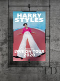 Harry Styles Tour Singer Wall Art Home Decor - Poster | Canvas Wall Art Print