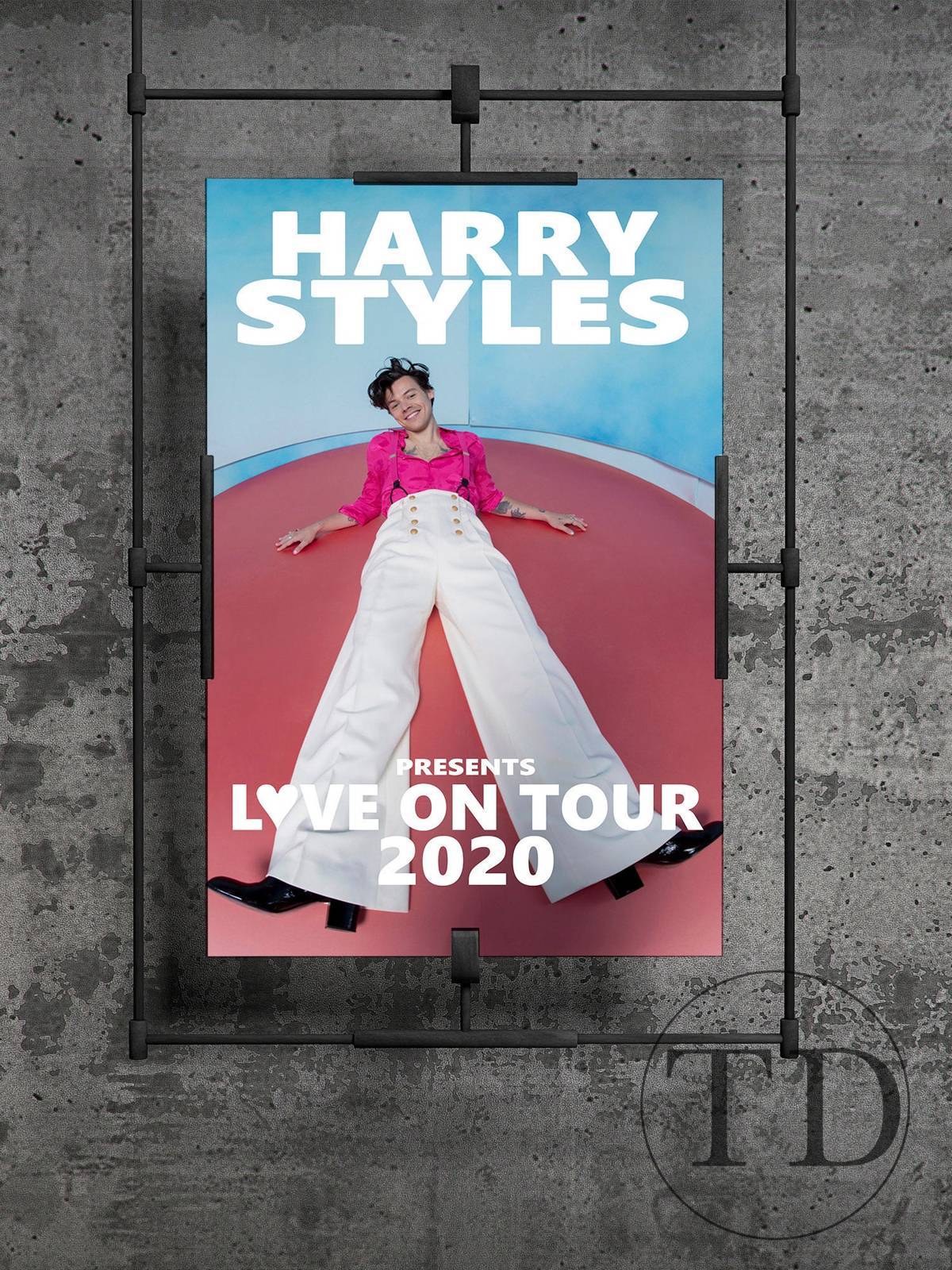 Harry Styles Tour Singer Wall Art Home Decor - Poster | Canvas Wall Art Print