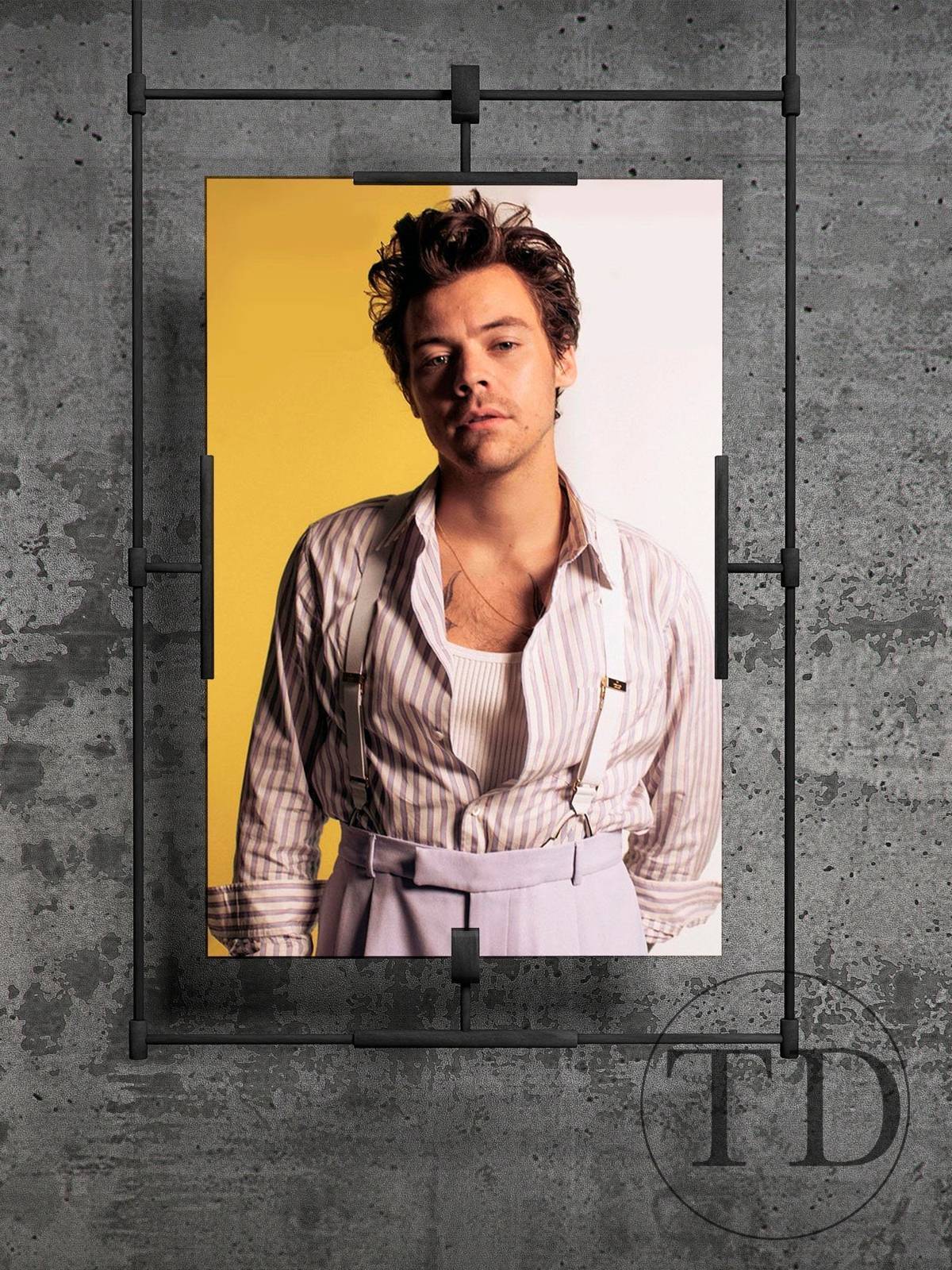 Harry Styles Music Star Wall Art, Home Decor Harry Styles Wall Picture - Poster | Canvas Wall Art Print