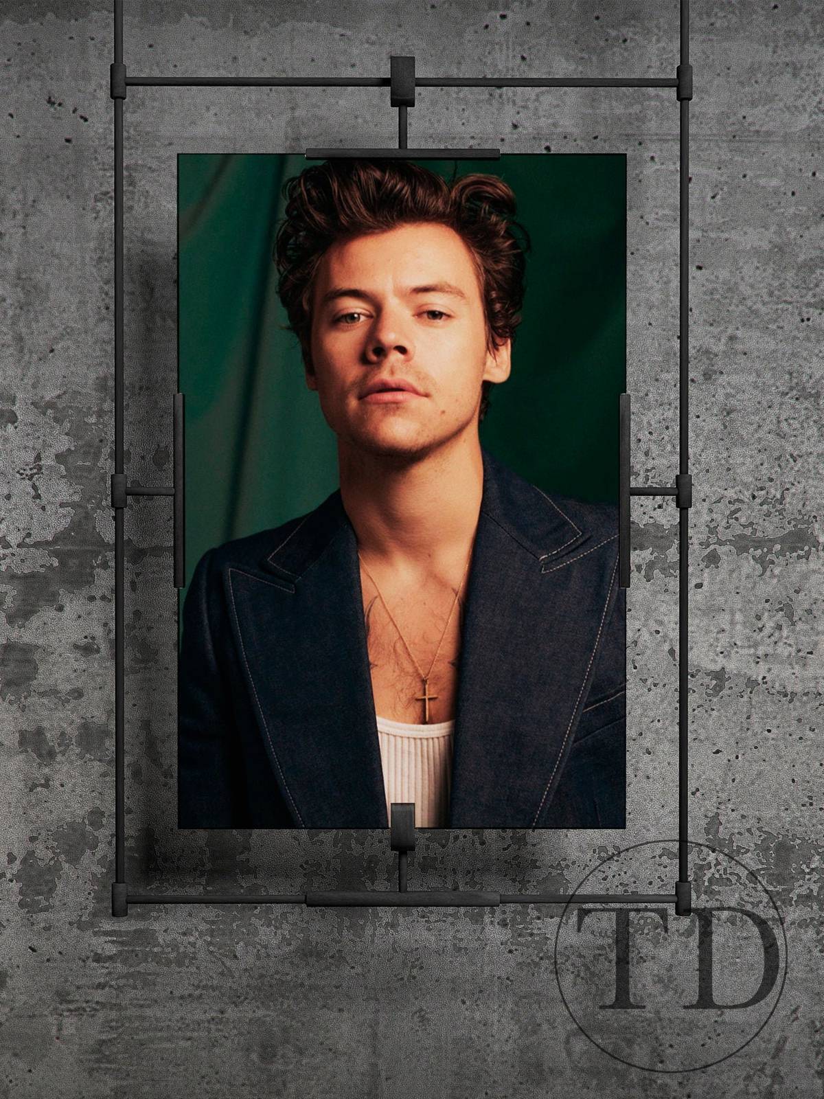 Harry Styles Music Star Wall Art, Home Decor Harry Styles Wall Picture - Poster | Canvas Wall Art Print