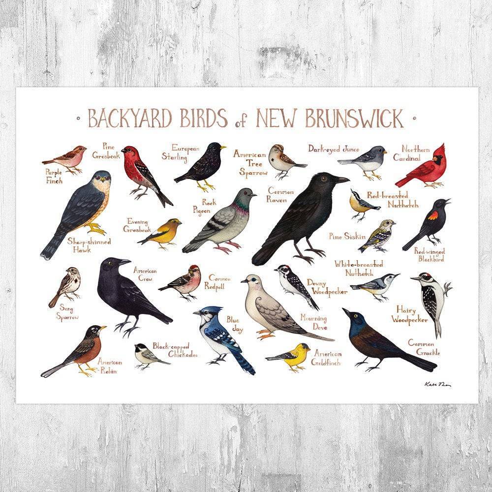 New Brunswick Backyard Birds Field Guide Art Print - Nature Print - Bird - Poster | Canvas Wall Art Print