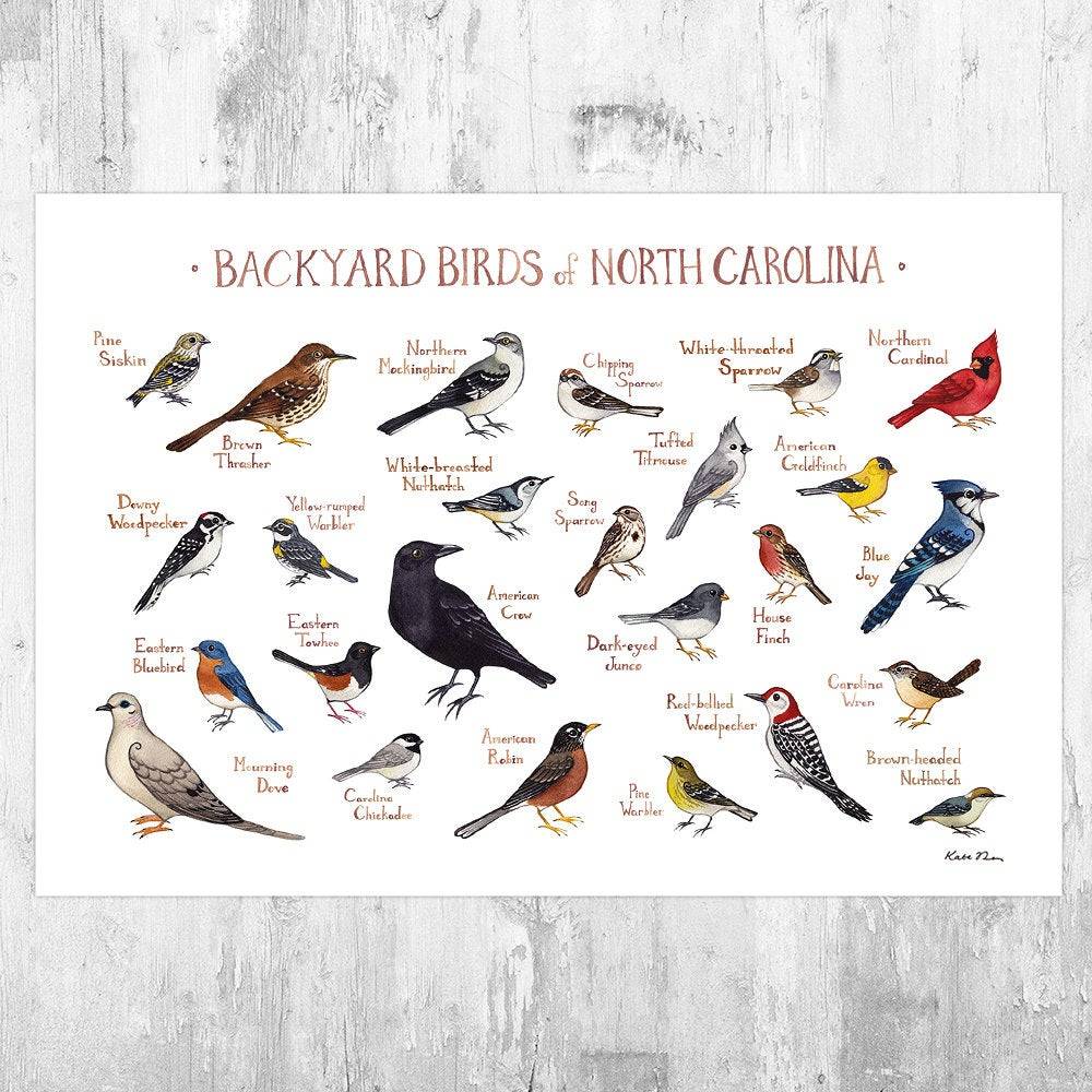 North Carolina Backyard Birds Field Guide Art Print - Nature Print - Bird - Poster | Canvas Wall Art Print