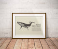 Seinfeld "The Marine Biologist" - Textbook Inspired Print - Poster | Canvas Wall Art Print