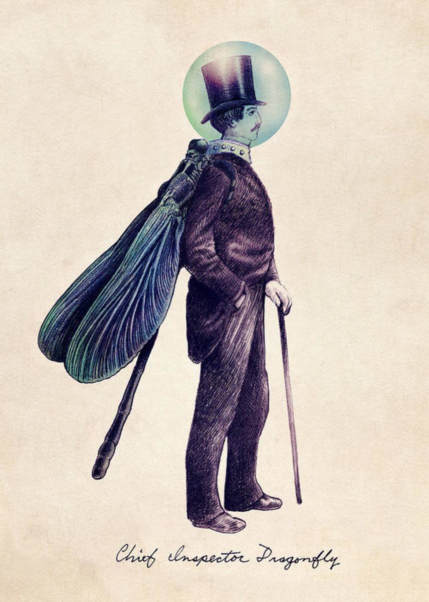 Inspector Dragonfly - Poster | Canvas Wall Art Print