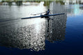 Lake Merritt Morning - Poster | Canvas Wall Art Print