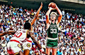 Larry Bird - Poster | Canvas Wall Art Print