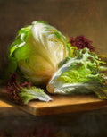Lettuce - Poster | Canvas Wall Art Print