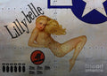 Lillybelle Nose Art - Poster | Canvas Wall Art Print