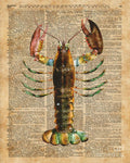 Lobster Crustacean Mediterranean Sealife Vintage Dictionary Art Collage - Poster | Canvas Wall Art Print