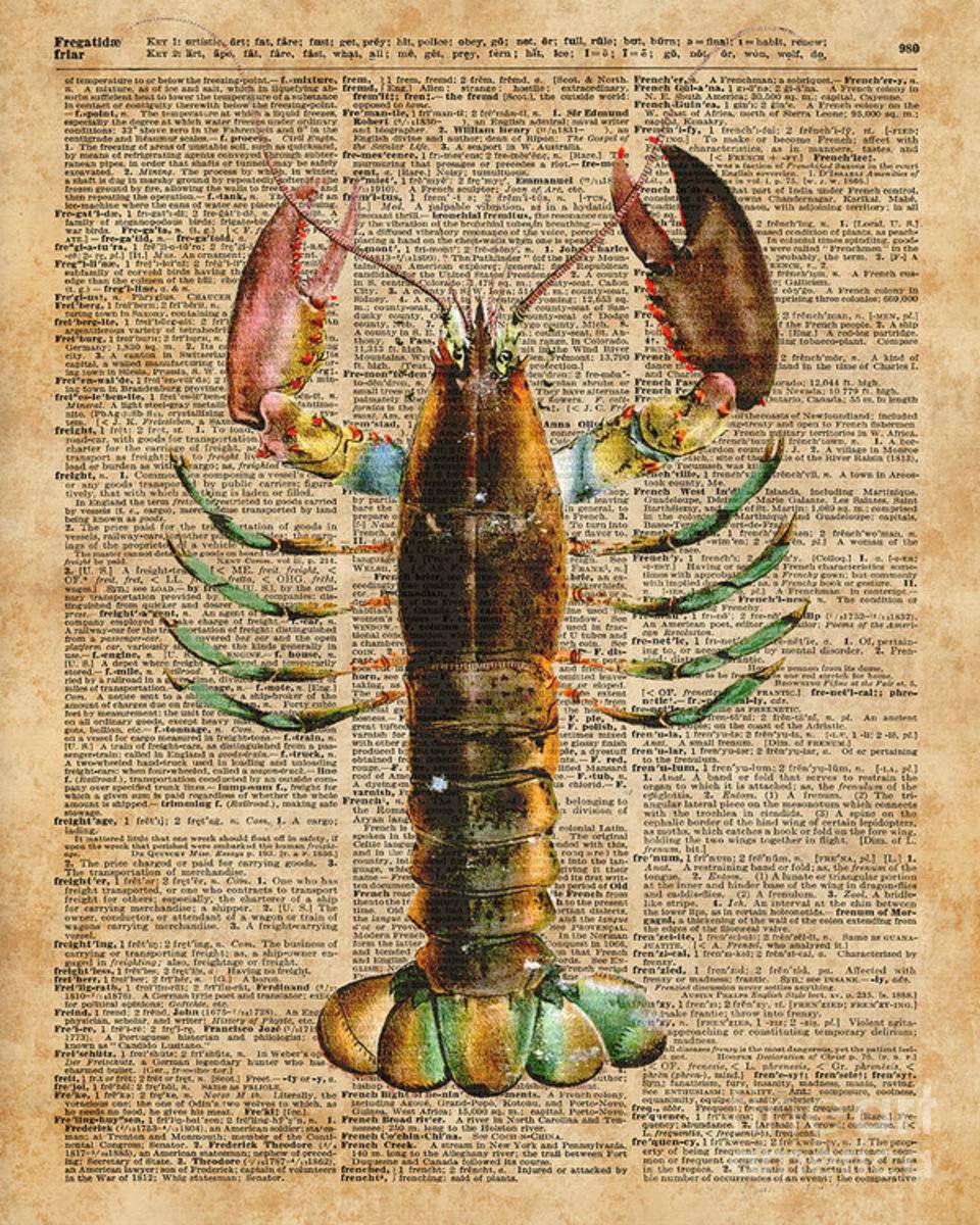 Lobster Crustacean Mediterranean Sealife Vintage Dictionary Art Collage - Poster | Canvas Wall Art Print