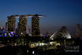 Marina Bay Skyline - Poster | Canvas Wall Art Print