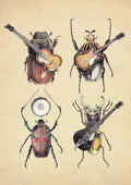 Meet The Beetles - Poster | Canvas Wall Art Print