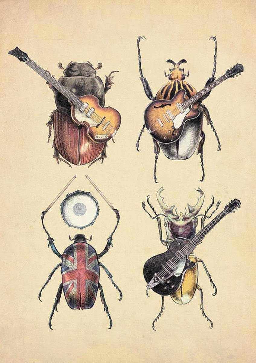 Meet The Beetles - Poster | Canvas Wall Art Print