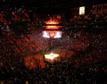 Miami Heat - Poster | Canvas Wall Art Print