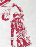 Michael Jordan Chicago Bulls Pixel Art 1 - Poster | Canvas Wall Art Print
