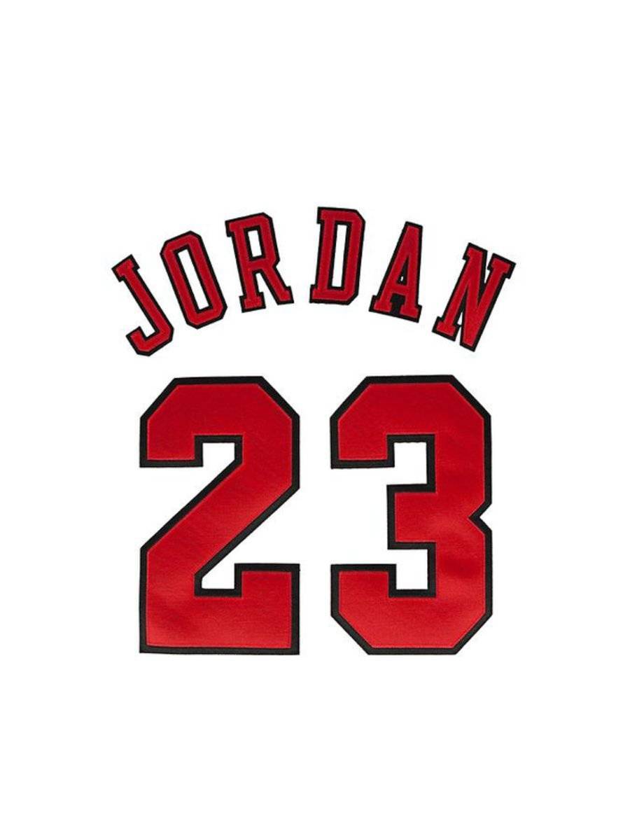 Michael Jordan - Poster | Canvas Wall Art Print