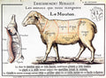 Mutton - Poster | Canvas Wall Art Print
