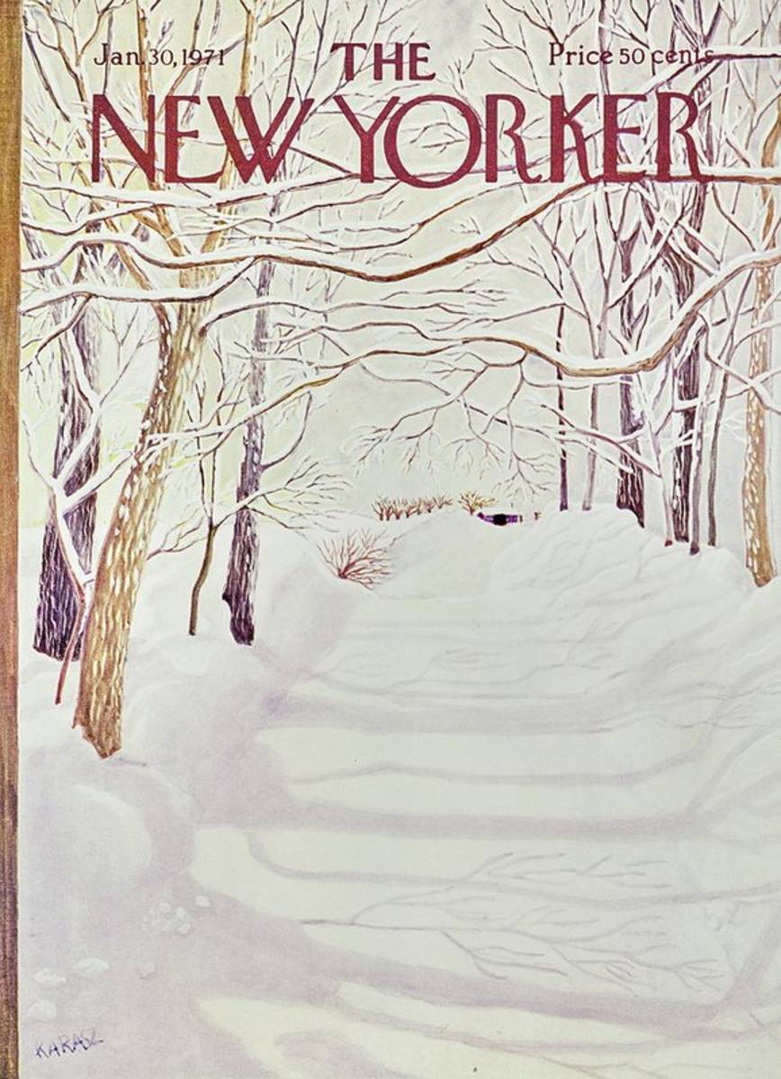 New Yorker January 30Th 1971 - Poster | Canvas Wall Art Print