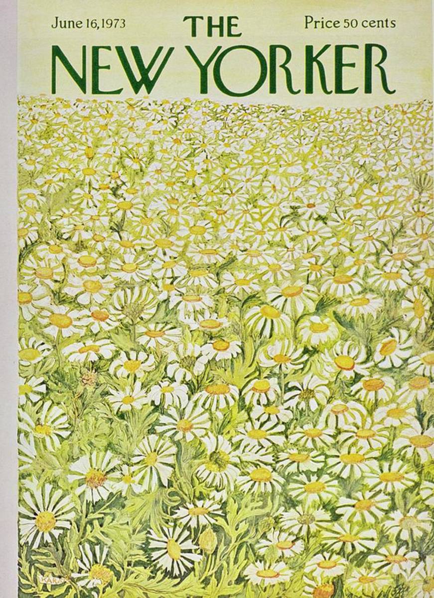 New Yorker June 16Th 1973 - Poster | Canvas Wall Art Print