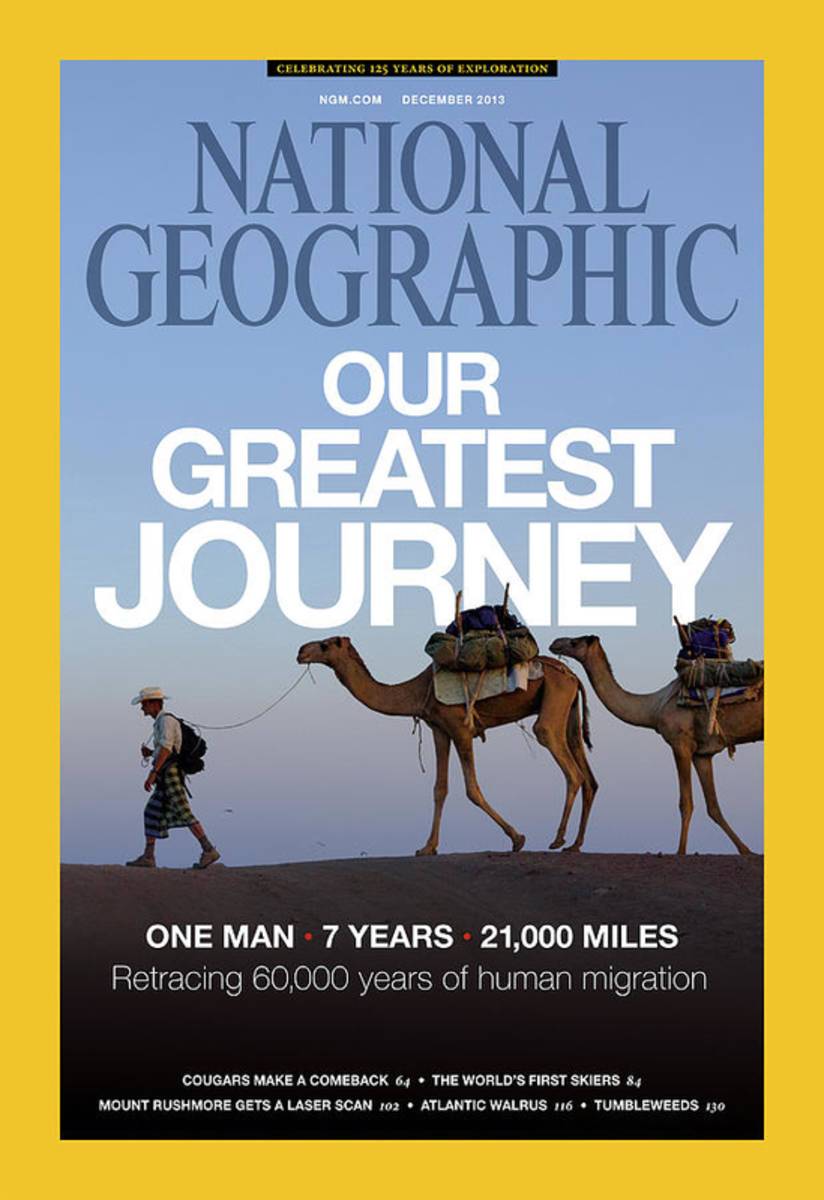 Ngm Cover 122013.Two Camels And A Man - Poster | Canvas Wall Art Print