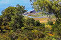 North Torrey Pines Del Mar - Poster | Canvas Wall Art Print