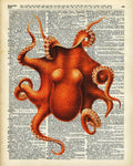 Octopus Vintage Illustration On A Book Page - Poster | Canvas Wall Art Print