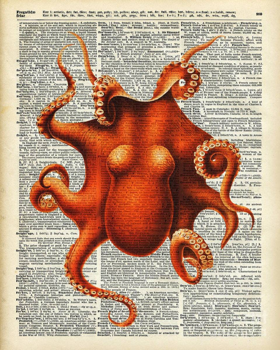 Octopus Vintage Illustration On A Book Page - Poster | Canvas Wall Art Print