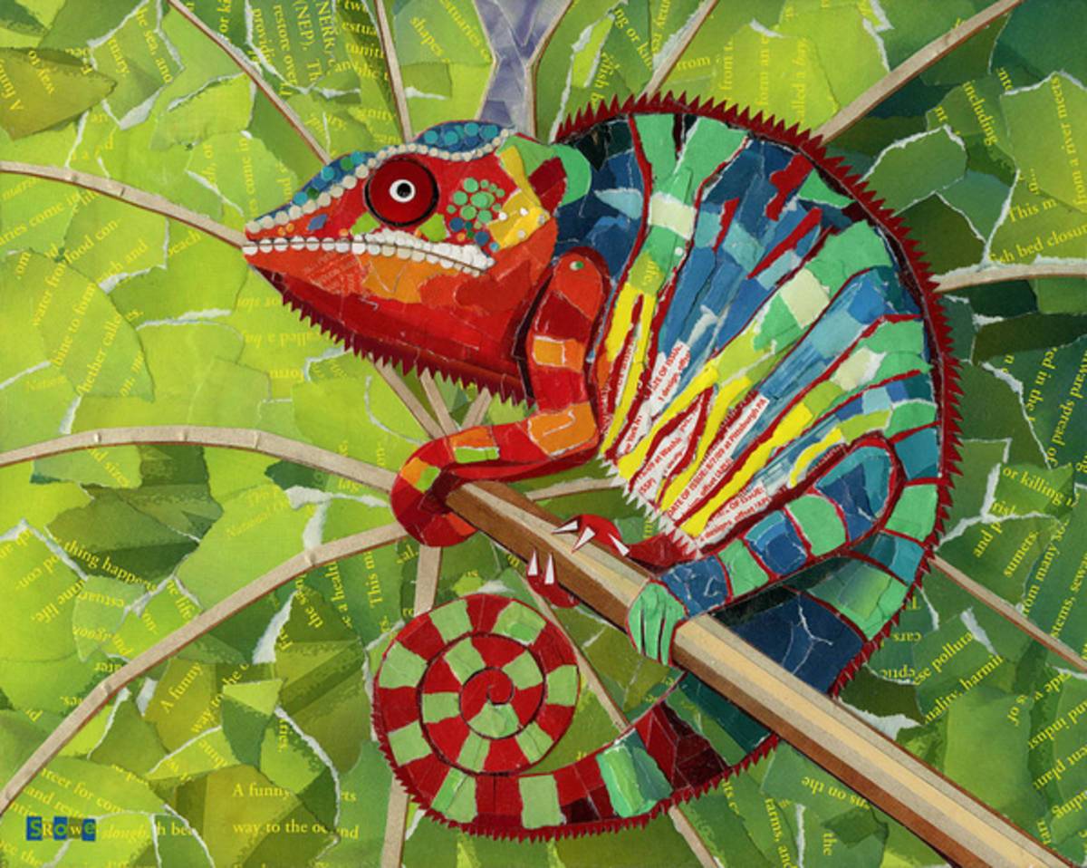 Panther Chameleon - Poster | Canvas Wall Art Print
