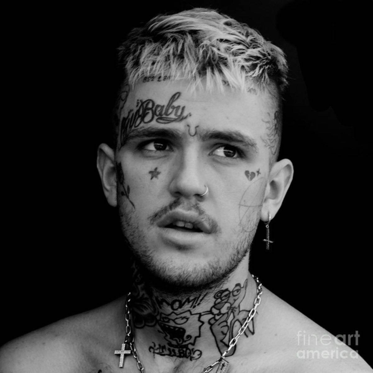 Peep - Poster | Canvas Wall Art Print