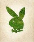 Playboy Grass Logo - Poster | Canvas Wall Art Print