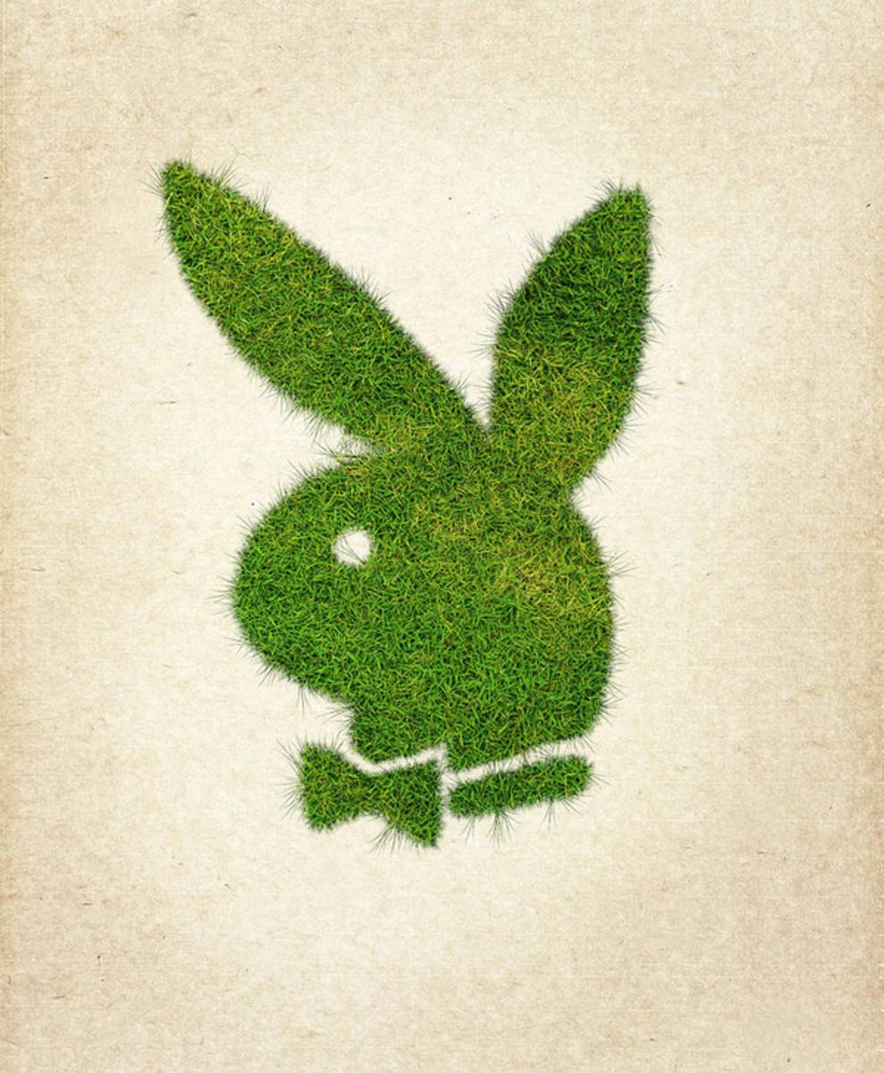 Playboy Grass Logo - Poster | Canvas Wall Art Print