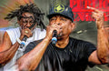 Public Enemy Chuck D Flavor Flav - Rapper - Poster | Canvas Wall Art Print