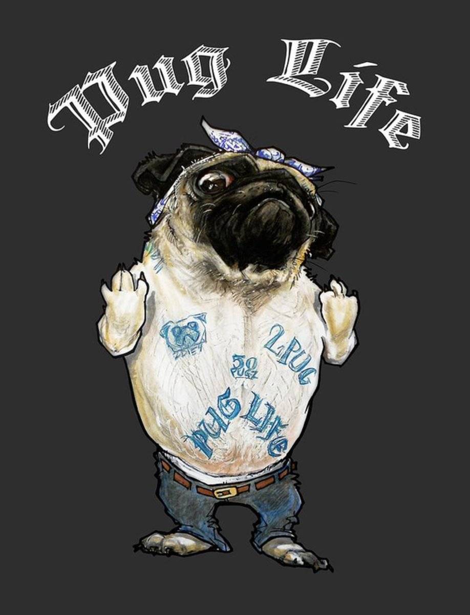 Pug Life - Rapper - Poster | Canvas Wall Art Print
