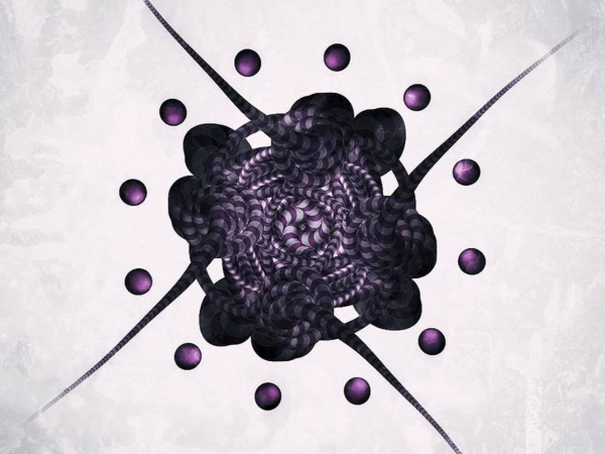 Purple - Poster | Canvas Wall Art Print