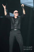 Pitbull - Rapper - Poster | Canvas Wall Art Print